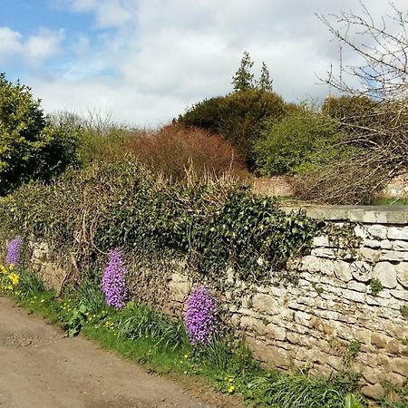 Owl Cottage Hexham Exterior photo