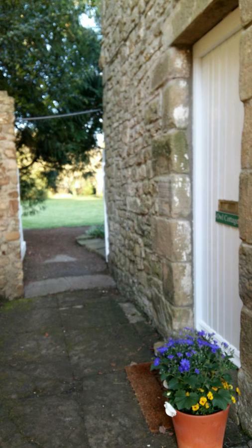 Owl Cottage Hexham Exterior photo